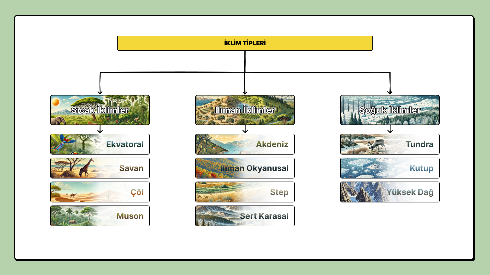 iklim-tipleri.png